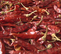 Dry Red Chilly