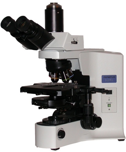 Phase Contrast Microscope