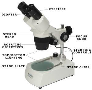 STEREO MICROSCOPE