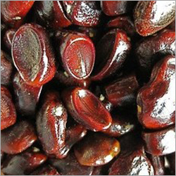Tamarind Seeds