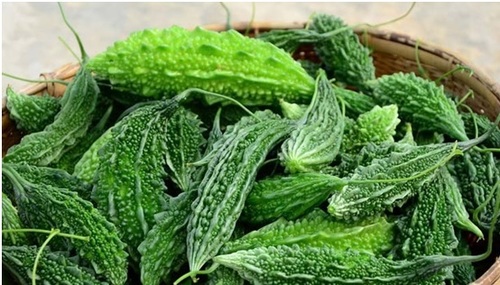 Bitter Gourd (Momordica charantia)