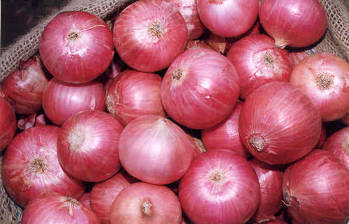 Rose Onions