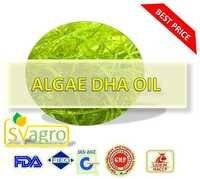 Algae  Oil DHA