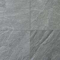 Silver Gray Natural Quartzite