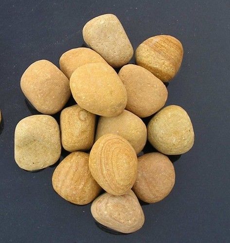 Teak Pebbles