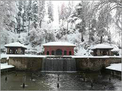Gulmarg Tour Packages