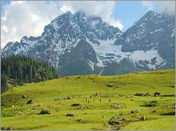 Kashmir Botanical Garden Tour Packages