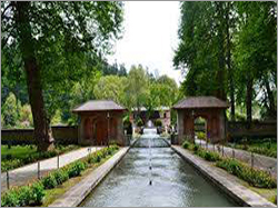 Achabal Garden Tour Packages
