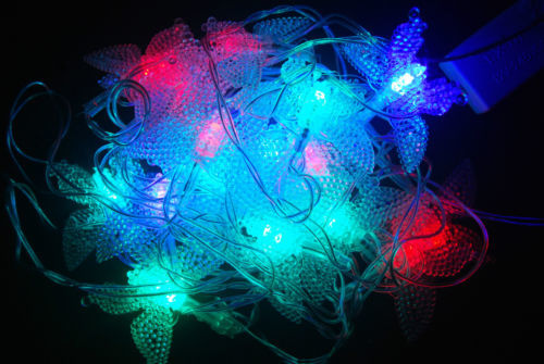 Crystal Butterfly String LED Lights for Diwali Christmas Festival Decorations