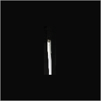 Led Tubes