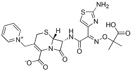 Ceftazidime Pentahydrate