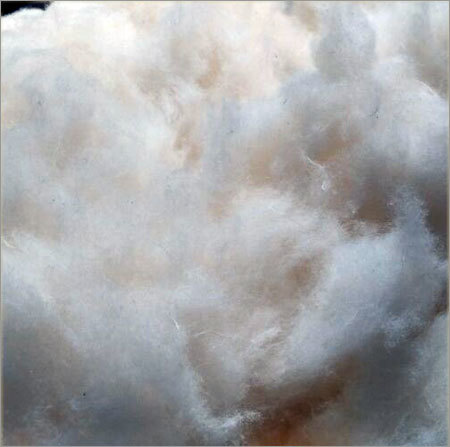 Pure Cotton Comber Noil