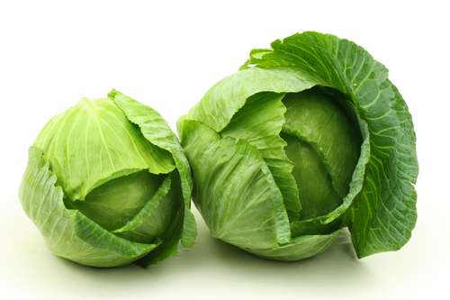 Green Cabbage