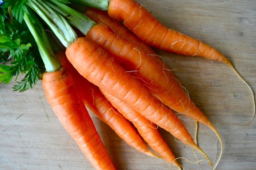 Carrot
