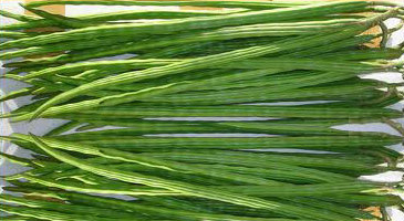 Drumsticks