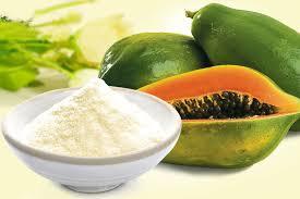 Papaya Juice Pulp Powder By APEX INTERNATIONAL