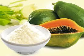 Papaya Juice Pulp Powder