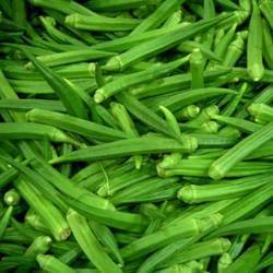 Lady finger