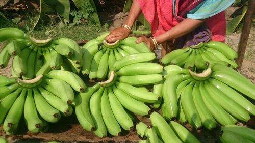 Banana