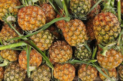 pineapple