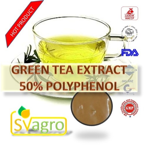 GREEN TEA  EXTRACT 50% POLYPHENOL