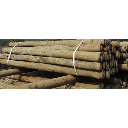 Treated Wood