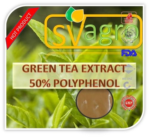 GREEN TEA  EXTRACT 50% POLYPHENOL