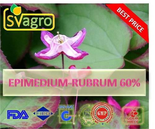 Epimedium 60% Extract 