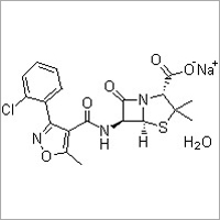 Cloxacillin Sodium By JIGS CHEMICAL LIMITED