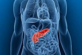 Pancreatic Cancer