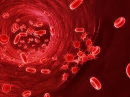 Blood Cancer