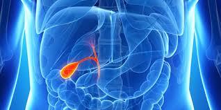 Gallbladder Cancer