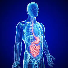 Cancer Treatment