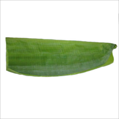 Fresh Banana Leaf
