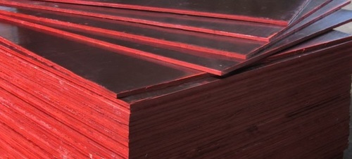 Shuttering Plywood