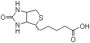 D-Biotin