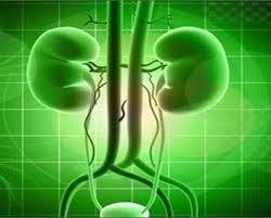 OIU (Optical Internal Urethrotomy)