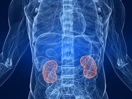 Renal Failure