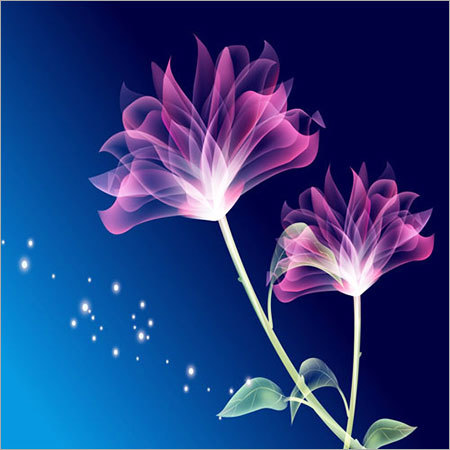 Customized Wallpaper