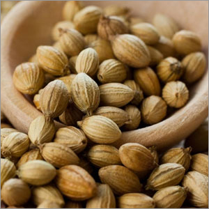Coriander Seeds