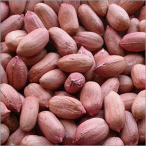 Bold Peanut Kernel Broken (%): 3 % Max