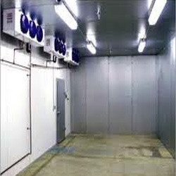 Mango Ripening Rooms