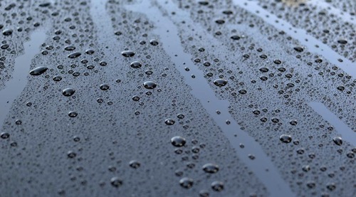 GLASS SHIELD
