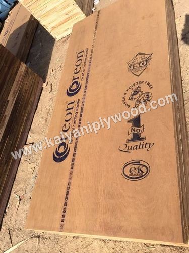 Flush Panel Door