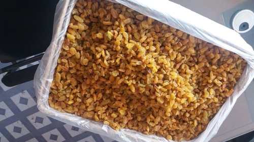 Dry Grapes
