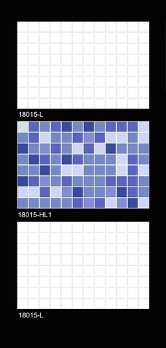 Vitrified Bathroom Wall Tiles