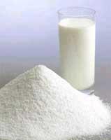 Vegetable Fat Powder Vegetable Fat Powder