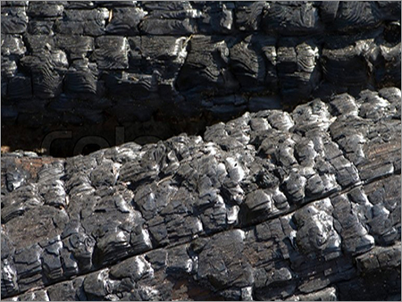 Wood Log Coal