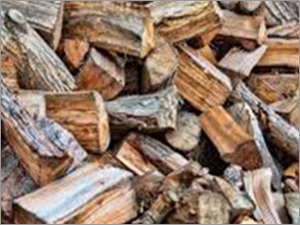 Wood Log