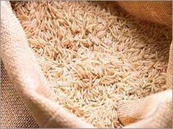 Rice Husk